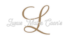 Main Coon Logo